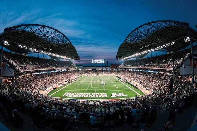 淘汰賽的亮 淘汰賽的亮