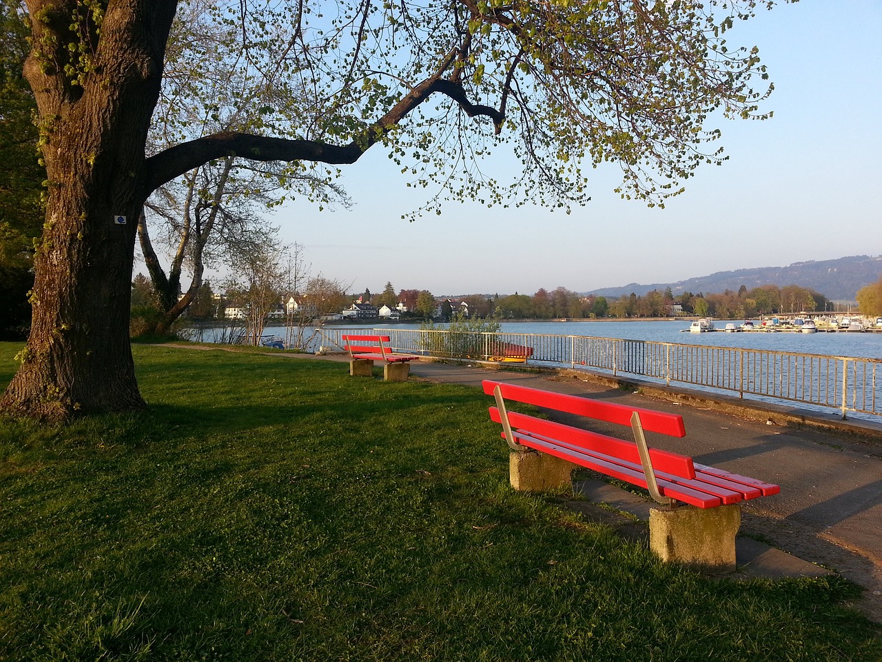 加了新的光 加了新的光