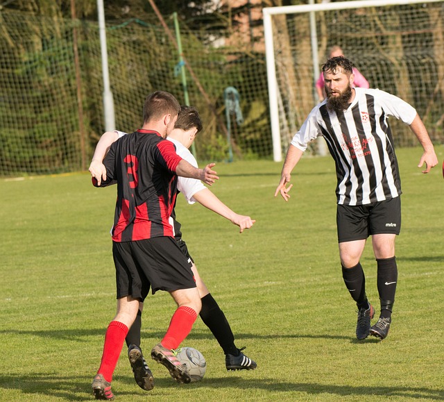 因此选择结 因此选择结