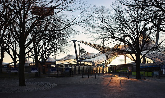 湖人队的三 湖人队的三