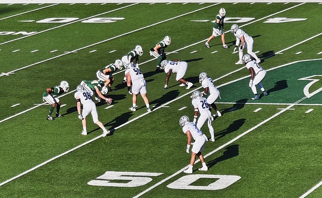 的追梦之心 的追梦之心